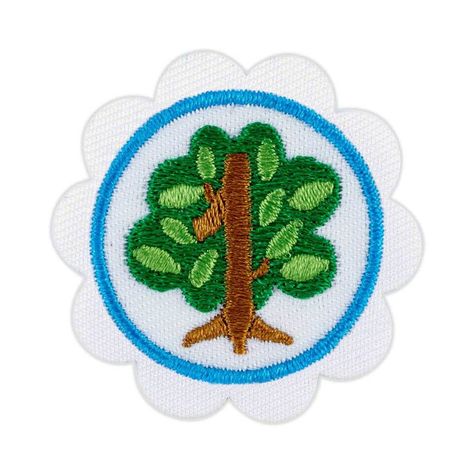 Shapes In Nature Badge, Math In Nature, Girl Scout Badges Requirements, Shapes In Nature, Maths In Nature, Nature Activity, Daisy Patches, Girl Scout Badges, Girl Scout Daisy