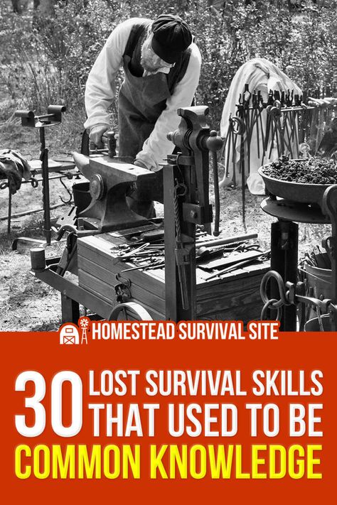 The world we live in today is drastically different from the world our ancestors lived in, and with the landscape constantly changing, so too must our knowledge and skillset. Long forgotten are the skills and knowledge that were once common amongst our ancestors—until now. In this article, we explore 30 survival skills that were once common knowledge, and how you can use them to your advantage. With these skills, you will be well-prepared to tackle whatever comes your way. Survival Binder, Pioneer Lifestyle, Survival Homestead, Kids Survival Skills, Homestead Diy, Prepping Ideas, Survival Project, Shtf Preparedness, Survival Stuff