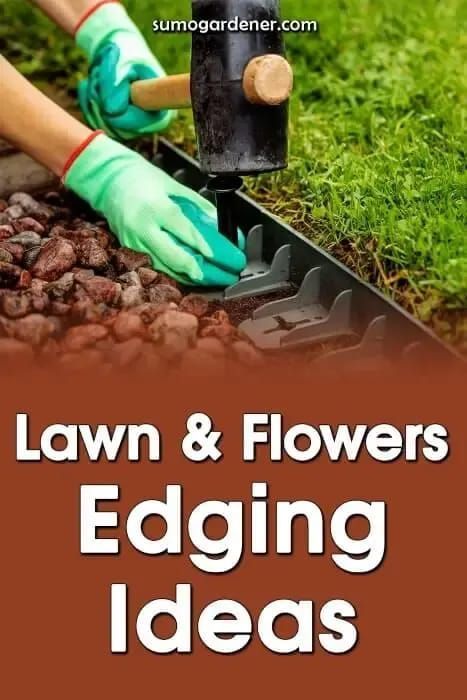 Flower Bed Edging Ideas, Bed Edging Ideas, Cold Frame Diy, Flower Bed Edging, Sitting Areas, Small Water Features, Lawn Care Tips, Diy Raised Garden, Edging Ideas