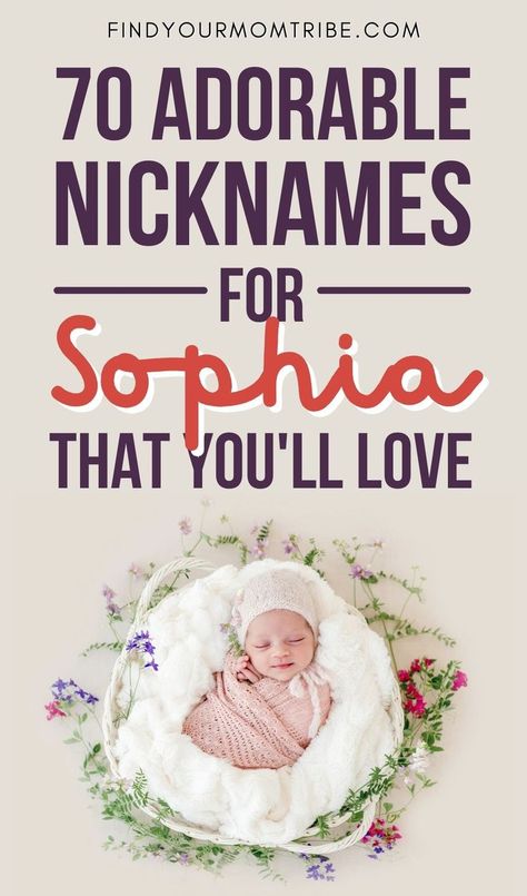 Looking for the sweetest nicknames for your little princess? Here is a list of adorable nicknames for Sophia that'll make you smile! Sophia Name, Cute Nicknames, Breastfeeding And Pumping, You Smile, Parenting Advice, Little Princess, Baby Names, Make You Smile, To My Daughter