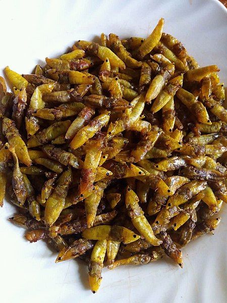 Ugandan grasshopper dish Ugandan Food Dishes, Ugandan Culture, Uganda Food, Mandazi Recipe, Ugandan Food, Eid 2024, Food Organization, Kenyan Food, Food Park