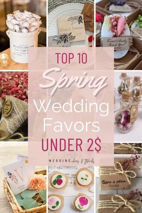 Spring weddings are beautiful, bright, and fun. The last thing you want to stress about is wedding favors on a budget. If you are looking for cheap springtime and summer themed favors ideas for guests that are unique and useful and classy with beautiful flowers, fresh colors, and the scent of a new beginning, then this is the list for you. From lollipops, handmade soaps and succulent candles to pressed flower cookies we’ve gathered top 10 inexpensive spring wedding favors under $2! Spring Bridal Shower Favors, Thrifty Wedding, Country Wedding Favors, Country Glam, Succulents Candles, Spring Wedding Favors, Tea Favors, Inexpensive Wedding Favors, Edible Favors