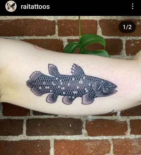 Coelacanth Tattoo, Puffer Fish Tattoo, Cephalopod Tattoo, Lino Stamp, Ocean Sleeve Tattoos, Traditional Tattoo Drawings, Ocean Sleeve, Fish Illustrations, Neo Tattoo