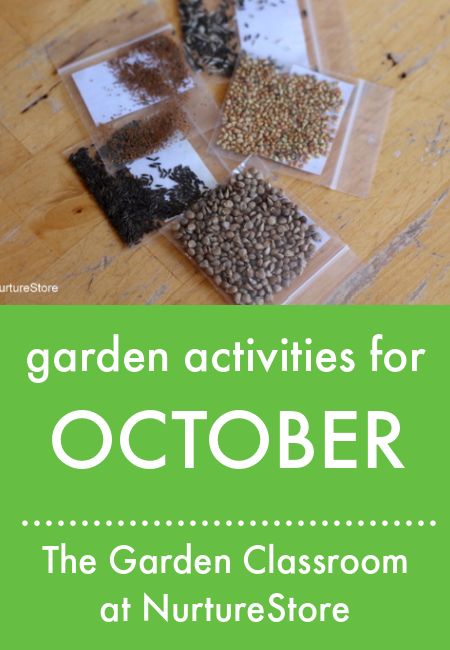 School Garden Club Activities, Gardening Club Ideas For Kids, Garden Club Activities, Kids Gardening Activities, Seed Activities For Kids, Montessori Jobs, Activities For October, School Garden Club, Gardening Kids Activities