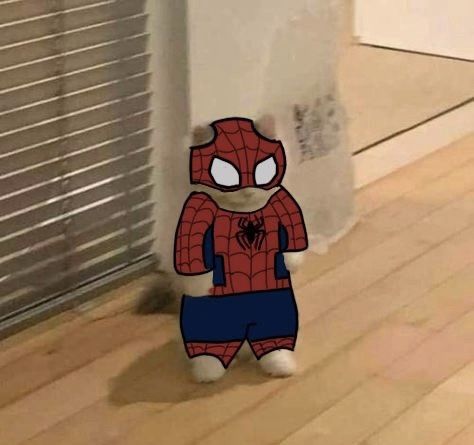 Spider Man Cat, Gta Funny, Spiderman Meme, Marvel Phone Wallpaper, Spiders Funny, Animes Emo, Cracked Wallpaper, Whatsapp Wallpapers Hd, Anime Kitten