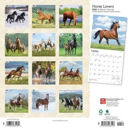 Horse Calendar, Calendar May, Mini Wall, Mini Calendars, Clydesdale, Horse Lovers, Calendar Pages, Gentle Giant, Wild And Free