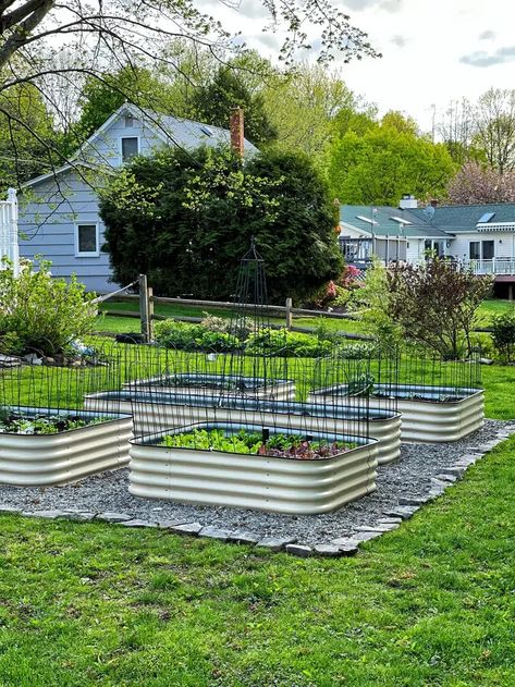 My New Raised Garden Bed for Vegetables - Stacy Ling Watering Raised Garden Beds, Backyard Goals, Garden Patios, Garden Bed Layout, Vegetable Garden Beds, Deer Fence, Building Raised Garden Beds, Building A Raised Garden, Grow Vegetables