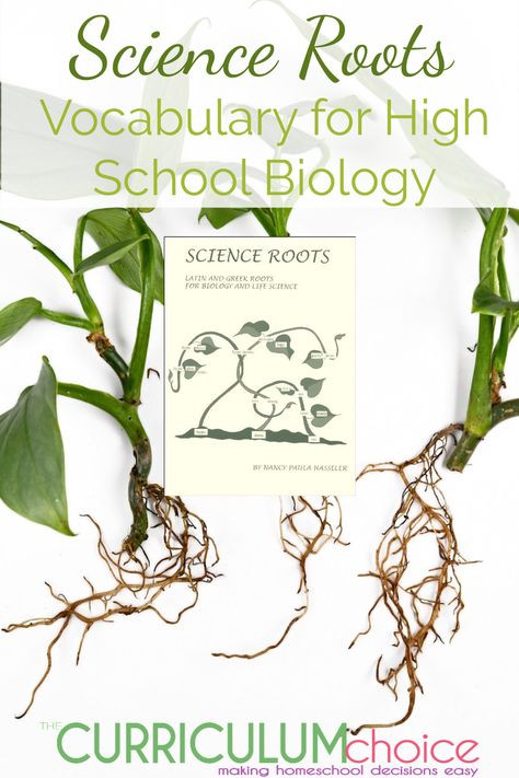 Science Roots : Vocabulary for High School Biology - The Curriculum Choice Botany Lessons High School, Highschool Biology, Zoology Curriculum High School, Teaching Biology High School, Middle School Biology Curriculum, Biology For Kids, Biology Activity, School Biology, High School Biology