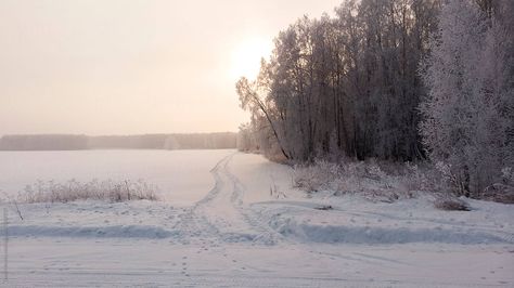 Snowy Valley, Kingdom Inspiration, Snowy Pictures, Snowy Road, Forest Core, Painting References, Snowy Forest, Winter Forest, Screen Savers