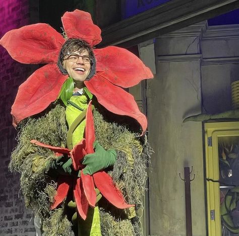 Jeremy Jordan Funny, Jeremy Jordan Little Shop Of Horrors, Audrey Little Shop Of Horrors Costume, Audrey 2 Little Shop Of Horrors, Little Shop Of Horrors Aesthetic, Seymour Little Shop Of Horrors, Little Shop Of Horrors Musical, Lil Shop Of Horrors, Little Shop Of Horrors Costume