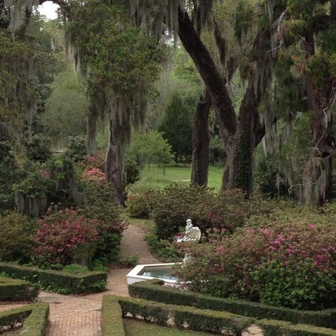 ... Beautiful Louisiana Baton Rouge Louisiana Aesthetic, Louisiana Mansion, Louisiana Aesthetic, Louisiana Architecture, Gmail Sign, Disney Worlds, Louisiana Bayou, Mediterranean Aesthetic, Louisiana Style