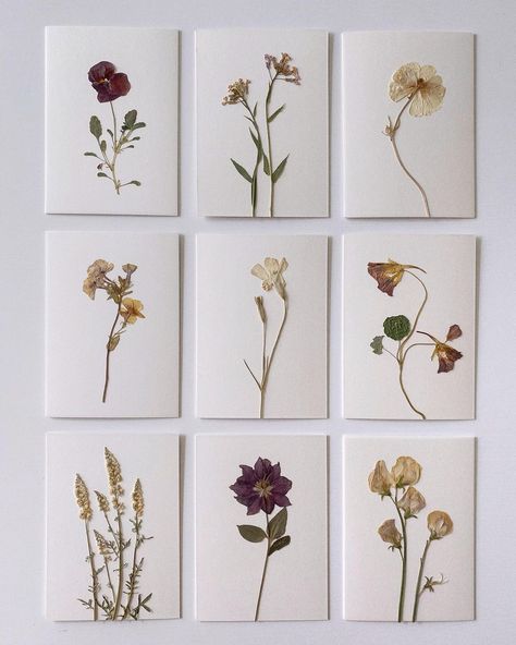 Pressed Flower Stationary, Pressed Flower Cards Diy, Dry Flowers Art, Dried Flower Cards, Dried Flowers Art, Pressed Flower Cards, Pressed Botanical Art, Pressed Flowers Art, Dried Flower Art