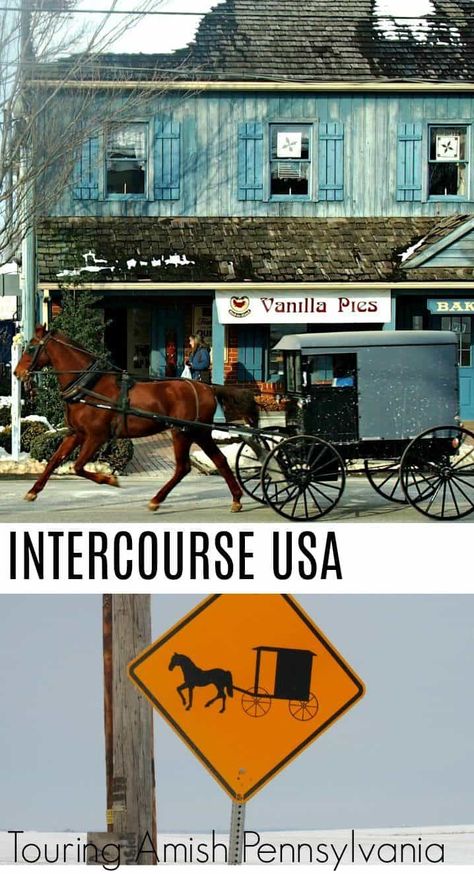 A Town Called Intercourse PA (USA) Amish Town, Amish Country Pennsylvania, Amish Pennsylvania, Gap Year Travel, Amish Culture, Amish Life, Travel Nursery, Jim Thorpe, Pennsylvania Travel