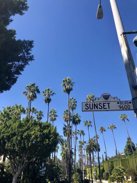 A guide to Beverly Hills #beverlyhills #westside #losangles Los Angeles Sunset Boulevard, Sunset Boulevard Los Angeles, Sunset Boulevard Aesthetic, La Beverly Hills, Beverly Hills Lifestyle, Los Angeles Lifestyle Aesthetic, Beverly Hills Wallpaper, Beverly Hills Aesthetic, Los Angeles Vibes