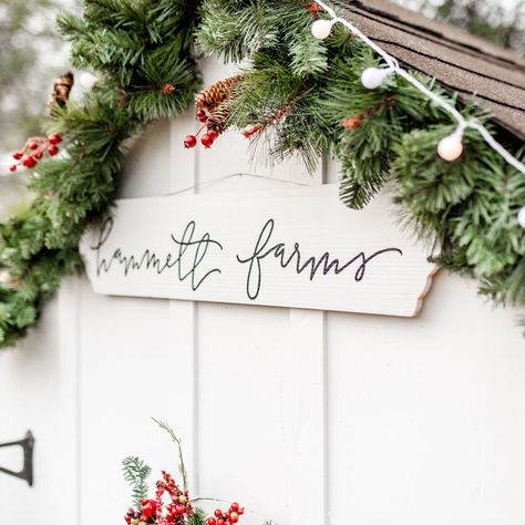 Inside Hammett Farms Chicken Coop - Peaches to Pearls Chicken Coop Wreath, Merry Christmas Friends, Chicken Coup, Christmas Chicken, Christmas Friends, The Golden Girls, Because I Can, Chicken Coops, Pet Chickens