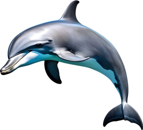 Dolphins Illustration, Dolphin Art Wallpaper, Dolphin Cute Illustration, Dolphin Vector, Dolphin Graphic, Dolphins Mosaic, Dolphin Images, Free Png, Dolphins