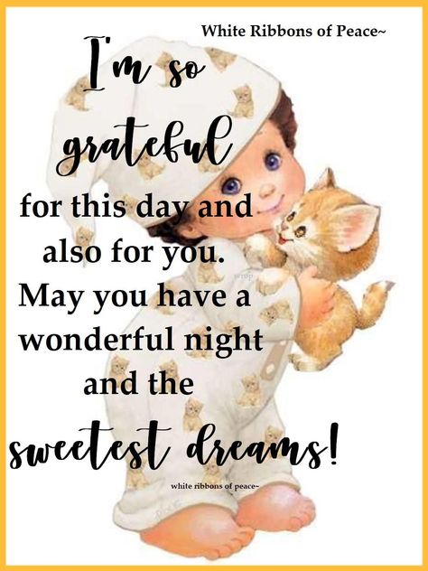 I'm So Grateful For This Day And Also For You. May You Have A Wonderful Night And The Sweetest Dreams Pictures, Photos, and Images for Facebook, Tumblr, Pinterest, and Twitter Sweetest Dreams Quotes Good Night, Good Night Best Friend, Good Night Daughter, Good Night Humor, Good Night Wishes Cute, Goodnight Cute Images, Inspirational Good Night Quotes, Greetings English, Goodnight Prayers