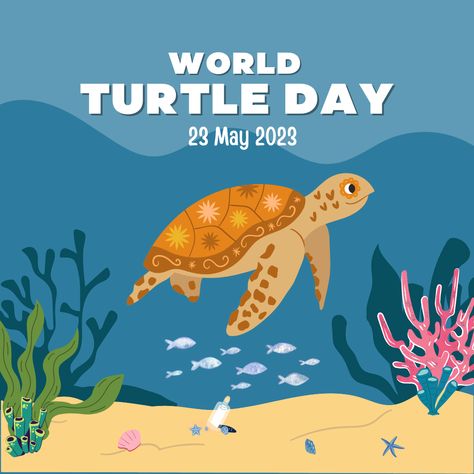 World Turtle Day Template 🐢 World Turtle, World Turtle Day, Turtle Day, Turtle Design, Instagram Post Template, Post Templates, Tortoise, Blue White, Blue And White