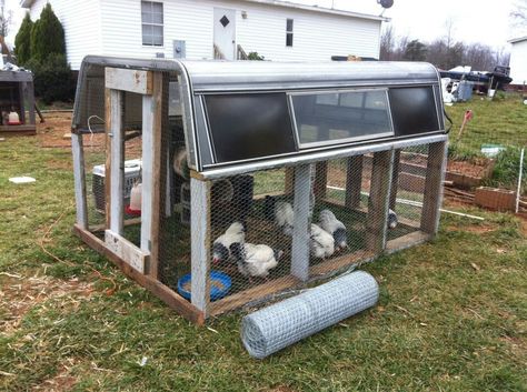 upcycle truck topper Camper Chicken Coop, Truck Topper, Laying Chickens Breeds, Baby Chicks Raising, Best Egg Laying Chickens, Laying Chickens, Truck Toppers, Portable Chicken Coop, Egg Laying Chickens