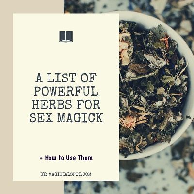 Witchcraft Herbs, Money Spells That Work, Sensual Seduction, Mental Healing, Green Magic, Magick Spells, Wiccan Spell Book, Magical Herbs, Witch Spell Book