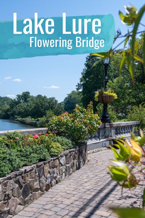 Lake Lure Flowering Bridge, Lake Logan Nc, Lake Lure North Carolina Things To Do, Lake Toxaway Nc North Carolina, Lake Lure North Carolina, North Carolina Attractions, North Carolina Lakes, Visit North Carolina, North Carolina Vacations