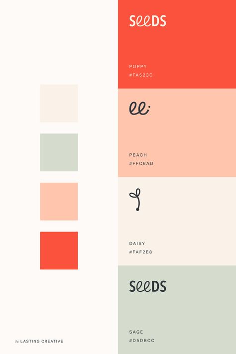 Friendly Design Branding, Color Pallete For Website Design, Friendly Colour Palette, Citrus Colour Palette, Cottagecore Branding Design, Creative Colour Palette, Colour Branding Palette, Red Green Yellow Color Palette, Fun Color Combinations