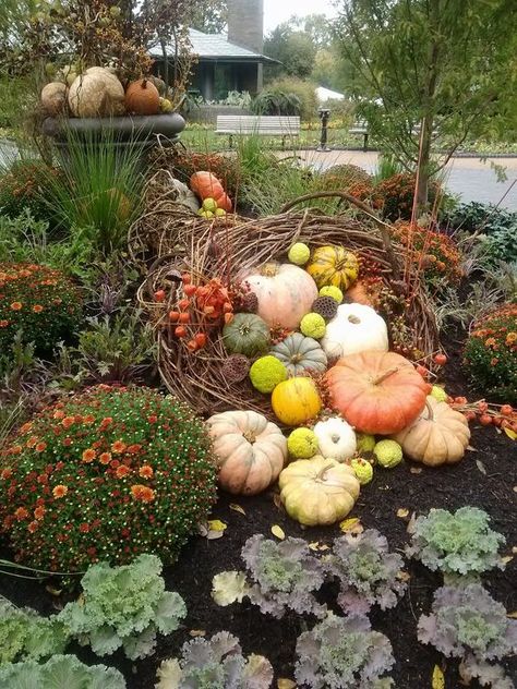 .. Dough Bowl Ideas, Fall Landscaping, Pumpkins And Gourds, Pumpkin Garden, Fall Containers, Tafel Decor, Fall Planters, Autumn Display, Fall Deco