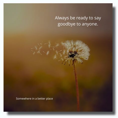 Always be ready to say goodbye to anyone. To Say Goodbye, Saying Goodbye, Be Ready, Say Goodbye, Always Be, Favorite Things, Quotes