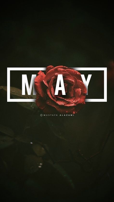 New Month Wallpaper, May Month Wallpaper, May Wallpaper, New Month Wishes, Wall Prints Quotes, Neuer Monat, Iphone Wallpaper Inspirational, Floral Typography, Beautiful Wallpapers For Iphone