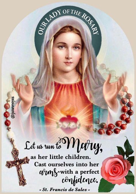 Our Lady of the Rosary Our Lady Of Rosary, Our Lady Of The Rosary, Lady Of The Rosary, Jesus Mother, Mother Mary Images, Blessed Mary, Catholic Pictures, Images Of Mary, Pictures Of Christ