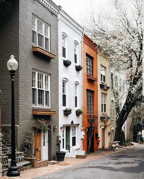 Georgetown, Washington DC @awalkinthewild Row House Exterior Design, White Townhouse Exterior, Rowhome Exterior, Townhouse Architecture, Brownstone Homes, Row Home, Townhouse Exterior, Mews House, Townhouse Designs