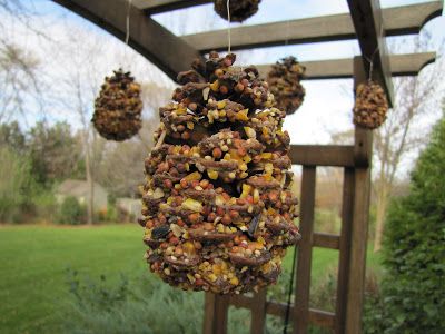 Squirrel Feeder Plans, Diy Squirrel Feeder, Squirrel Feeder Diy, Wine Bottle Bird Feeder, Squirrel Food, Pine Cone Bird Feeder, Bird Feeder Craft, Squirrel Feeders, Diy Porch Swing