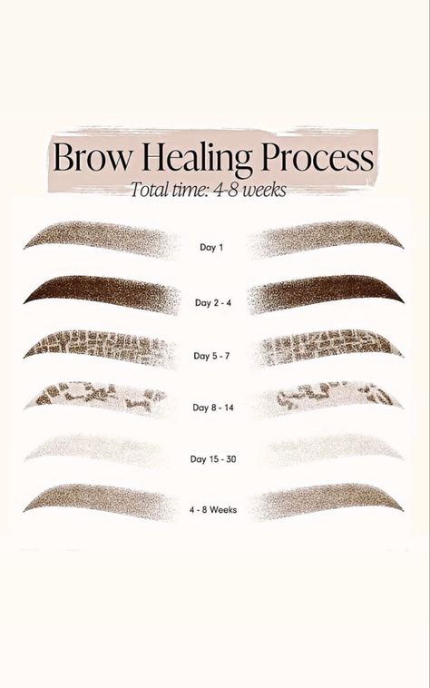 Microblading Eyebrows Training, Microblading Healing Process, Brow Quotes, Mircoblading Eyebrows, Permanent Makeup Studio, Ombre Eyebrows, Permanente Make-up, Membentuk Alis, Brow Studio