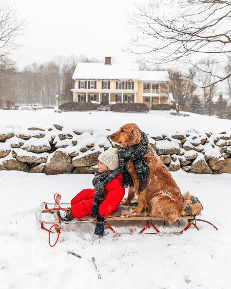 Forever Puppy, Kiel James Patrick, James Patrick, Christmas Feeling, Winter Photo, Swipe Right, Winter Dog, Dog Sledding, Santa Baby