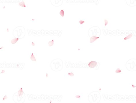 Falling Sakura Petals Sakura Petals, Youtube Banners, Logo Banners, Presentation Slides, Nature Backgrounds, Heart With Arrow, Marketing Design, Custom Illustration, Custom Branding