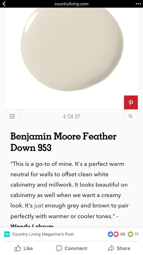 Feather Down. Benjamin Moore Feather Down Benjamin Moore, Interior Paint Colors For Living Room, Benjamin Moore Gray, Interior Paint Colors Schemes, Paint Color Schemes, Favorite Paint Colors, Favorite Paint, Up House, Interior Paint Colors