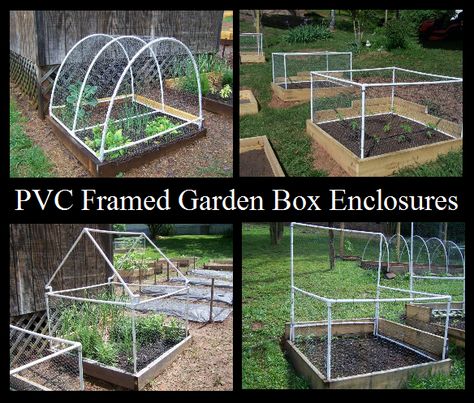 Raised Garden Irrigation Ideas, Diy Plant Cage, Garden Box Greenhouse Cover, Garden Netting Ideas Raised Beds, Raised Garden Beds Netting, Garden Enclosures, Critter Proof Vegetable Garden, Chicken Wire Cover For Raised Beds, Garden Enclosure Ideas