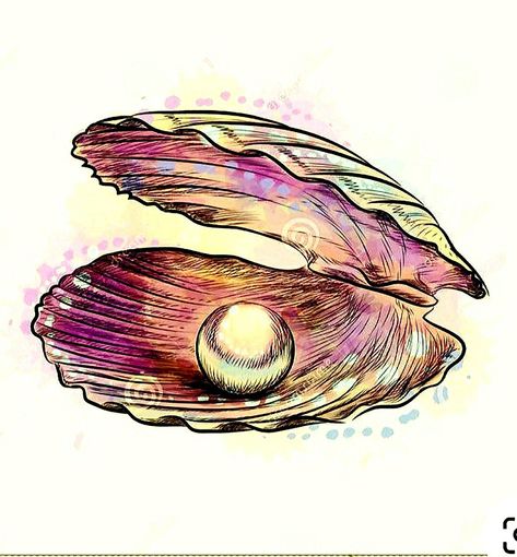 Seashell Drawing, Animorphia Coloring Book, Contemporary Botanical Art, Tupac Art, Shell Drawing, Notebook Drawing, Watercolour Texture Background, Sea Life Art, Flash Sheet