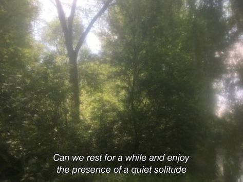 Photo credits to the rightful owner Quotes For Green Nature, Quiet Mind, Unspoken Words, Nature Aesthetic, Pretty Words, In The Woods, Life Is Beautiful, Beautiful Words, Mother Nature