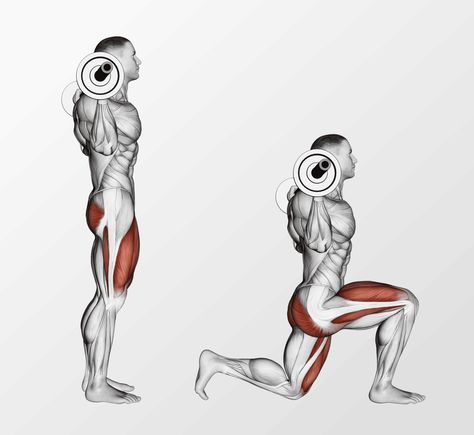 Compound Leg Exercises, Barbell Lunges, Exercises For Glutes, Sweet Sweat Waist Trimmer, Squat Machine, Barbell Squat, Hamstring Curls, Sweet Sweat, Compound Exercises