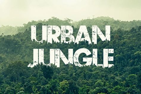 Urban Jungle Font, Jungle Font, Jungle Images, Tall Buildings, Font Packs, Text Tool, Background Images For Quotes, Brochure Layout, Font Names