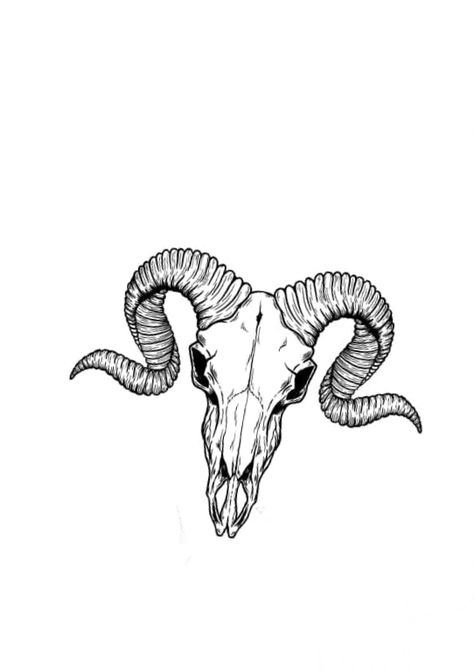 Capricorn Skeleton Tattoo, Goat Skeleton Tattoo, Ram Skeleton Tattoo, Animal Skull Tattoo Design, Animal Skeleton Tattoo, Goat Head Tattoo, Ram Skull Tattoo, Tattoo Main, Ram Tattoo