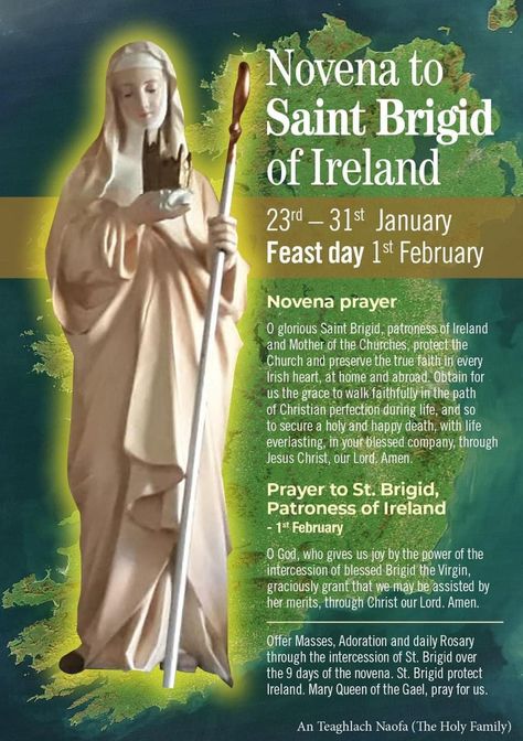 Saint Brigid Of Ireland, St Brigid Of Ireland, Saint Brigid, St Brigid, Novena Prayers, True Faith, Prayer Board, Jesus Pictures, Jesus Christ