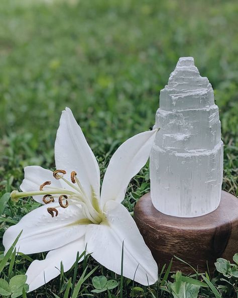 White selenite is one of my favorites! Selenite Aesthetic, Divine Feminine Art, Selenite Crystal, Feminine Art, Divine Feminine, My Favorites, Collage, Gemstones, Crystals