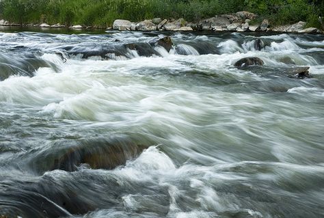 Rushing Water, Water Tattoo, Tattoo Idea, Tree Art, Runes, Etching, Utah, Rush, Photo Art