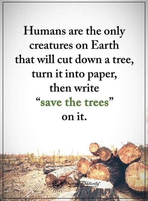 Slogans On Save Trees, Roots Quotes, Earth Day Slogans, Save The Water, Industrial Pollution, Earth Day 2023, Kids Tree Ornaments, Earth Day Quotes, Kids Budget