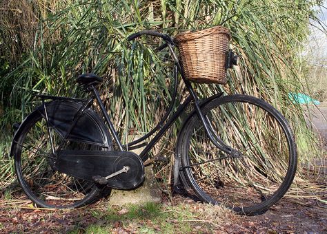 1930s Gazelle Ladies Bicycle Ladies Bicycle, Dutch Bicycle, Dutch Bike, Modern Bicycle, I Fall To Pieces, Dutch Women, Dutch Girl, Bicycle Women, Old Bikes