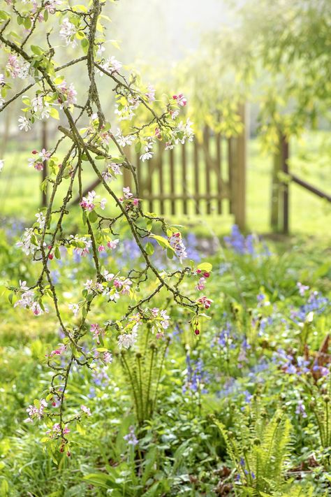 When does spring start in the UK? Here's what you need to know When Does Spring Start, Apple Blossom Flower, Country Spring, Country Living Uk, Flower Bunches, Lazy Summer Days, Spring Blossoms, English Country Gardens, First Day Of Spring