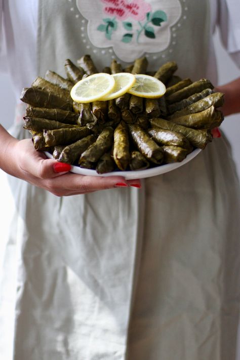 Warak Enab, Stuffed Vine Leaves, Stuffed Grape Leaves, Jewish Food, Chicken Gyros, Egyptian Food, Stuffing Mix, Vine Leaves, Jewish Recipes