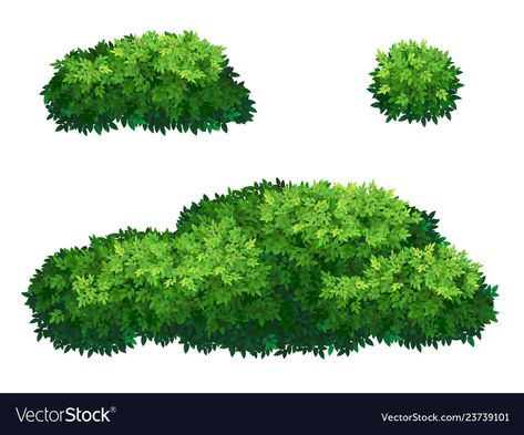 Green bushes and tree crown Royalty Free Vector Image Tree Crown, 숲 사진, Green Fence, Game Textures, Tree Plan, Free Green Screen, Summer Cards, Green Screen Backgrounds, Ornamental Plants